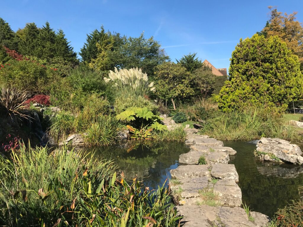 a romantic stroll at Preston Park